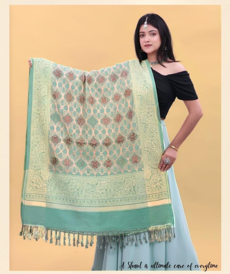 Mint green embroidered suit with paisley border and floral motifs